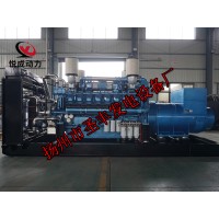 12M33D1320E310博杜安1200KW柴油發(fā)電機組