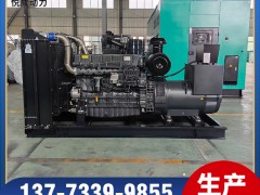 SC12E460D2上柴動(dòng)力300KW柴油發(fā)電機(jī)組