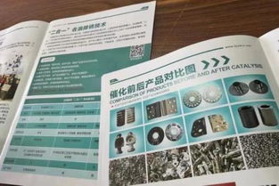 環保專利技術轉讓之困 ?；煞峙浞綘幾h與近百廠家投產失敗引發的思考